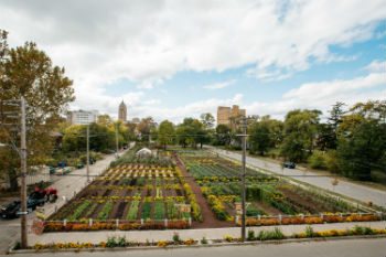 Michigan Urban Farming
