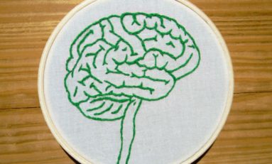New Alzheimer’s drug clears brain gunk