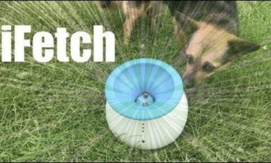 How Fetching is the iFetch?