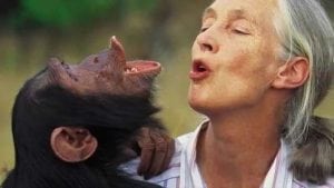 Celebs Reveal Why They’re Inspired by Jane Goodall at Premiere of JANE