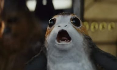 Last Jedi Director Jokingly Lashes Out At Porgs