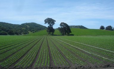 Salinas Valley and the Future of Farming