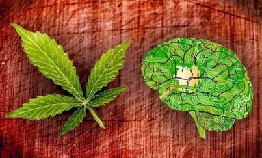 How THC Can Actually Improve Brain Health