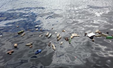How to Reduce Your Plastic Use