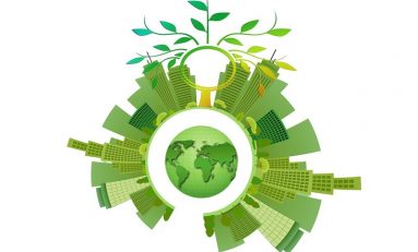 Eco-Friendly Business Practices for the Environment and Your Wallet