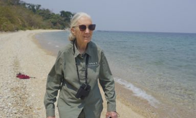 Wisdom and Hope from Jane Goodall on Earth Day
