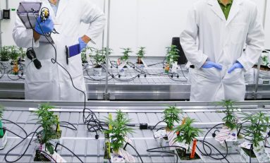How Innovation in Grow Technology is Advancing the Cannabis Industry