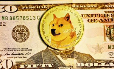 Dogecoin: Meme Crypto or Plausible Investment? Let’s Take A Look
