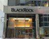 BlackRock is the Biggest Company You've Never Heard of