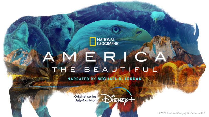 america the beautiful national geographic disney plus greg wilson jet cinematography