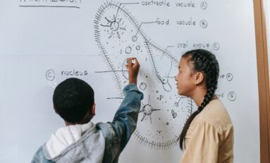 Top STEM Afterschool Programs to Consider