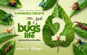 Bugs Like You’ve Never Seen Before: Entomologist Talks A Real Bug’s Life 2