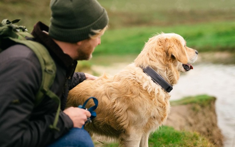 The Future of Pet Care: SATELLAI’s AI Collar Does More Than Track